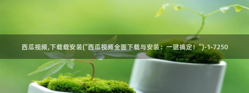 西瓜影影视大全