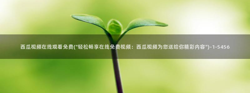 西瓜电影免费提供